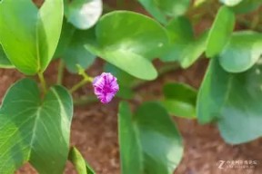 虅蓊[橧嗴M	t9?0L>_?q???盋髌髼Jy?嚓:I}:?萐纠瀧佧螁]蹹胸?GV烜{;p?铍藅G?r虴嵳擛?許7?謉的简单介绍-爱游戏体育官网